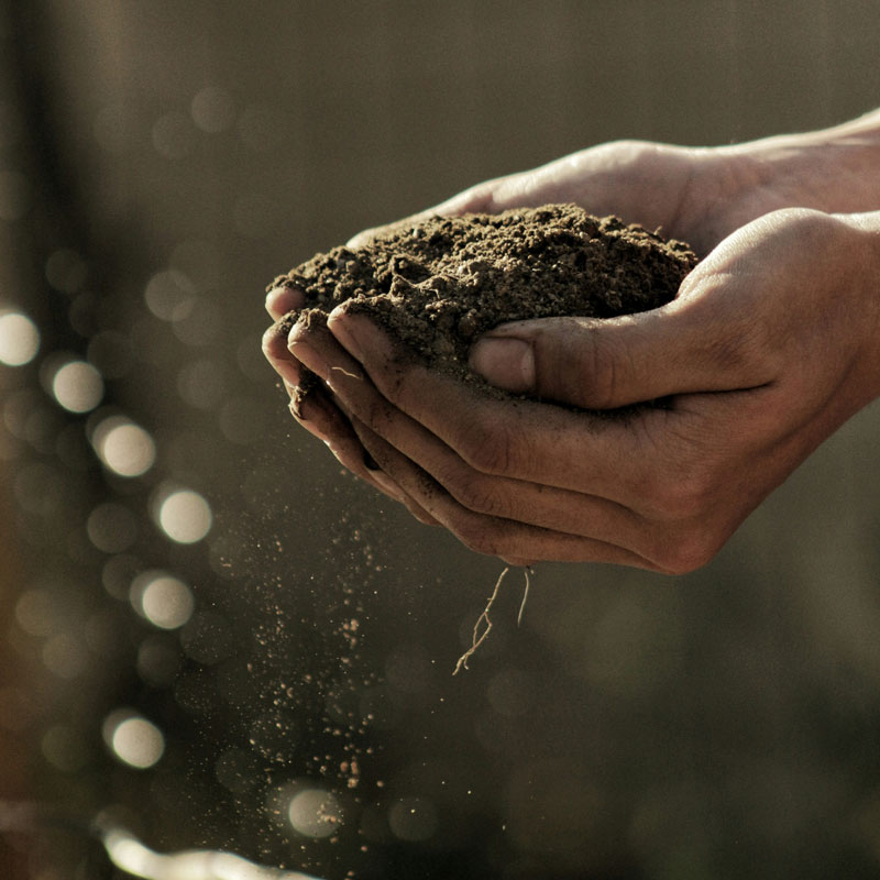 Mains qui tiennent de la terre symbolisant le compost et le potager